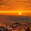 popularnews7241