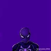 cay_790