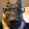 cantsayrs