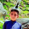mair.wale3