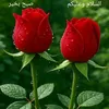 khan78633555