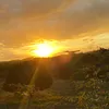 natalyoporta0
