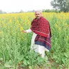 shahzad.khan34392