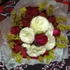 shafiqulmasura