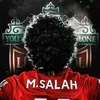 ahmed.elsayed5202