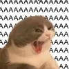 ayliolittlepillow