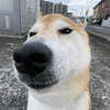toi.on0