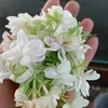 hoangluong6495