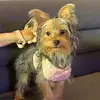 lovedog20020