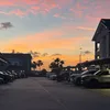 sofia_rr42