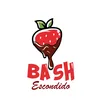 Chocolate Bash Escondido
