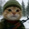fgham7