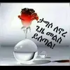 hasen97905