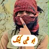 shahiryargull1