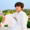 zainlashari076