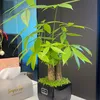 前程皆坦途
