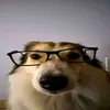 _numseioq