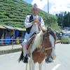 bijuli.prasad.neu8