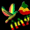 የወለጋ ልጅ ነኝ