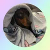 playtime_co_rants