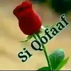 user4119191008134