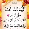 amina.walid37