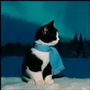 www.tiktok.comvitor157