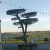luckyluc904