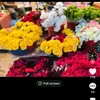 user224511998386