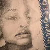liljoshivrt41