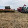 koopii8816