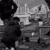 llldevoo21
