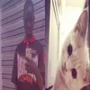 bigpaul699