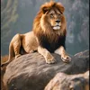 badalov_042