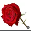 user9481733006399