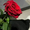 aminata_20101