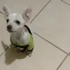 margarita.melgoza5