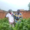 user39201991382184