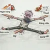 bayby cu