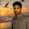 alokdasdipu