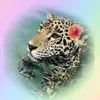 .ray_67138.0