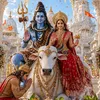 himal.chapagain21