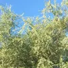 abdallah.youssouf58