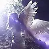 adelina29087
