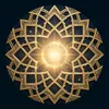 shahid.hussein358
