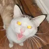 commonstray