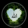 user8320532607402