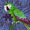 carlosrobertoal472
