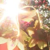 iivvx_20