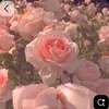 katie_baker12